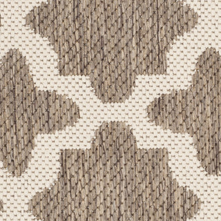 Safavieh Courtyard CY6913 Brown/Bone Area Rug 