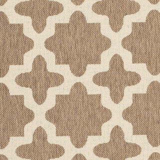 Safavieh Courtyard CY6913 Brown/Bone Area Rug 