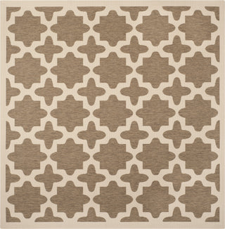 Safavieh Courtyard CY6913 Brown/Bone Area Rug 