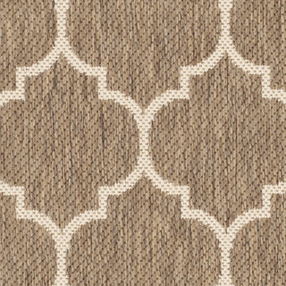 Safavieh Courtyard CY6914 Brown/Bone Area Rug 