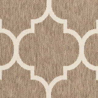 Safavieh Courtyard CY6914 Brown/Bone Area Rug 