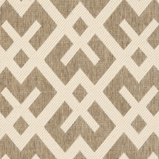 Safavieh Courtyard CY6915 Brown/Bone Area Rug 