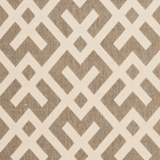 Safavieh Courtyard CY6915 Brown/Bone Area Rug 