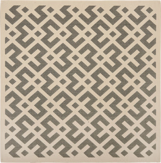 Safavieh Courtyard CY6915 Grey/Bone Area Rug 