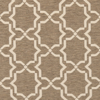 Safavieh Courtyard CY6916 Brown/Bone Area Rug 