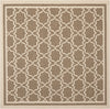Safavieh Courtyard CY6916 Brown/Bone Area Rug 