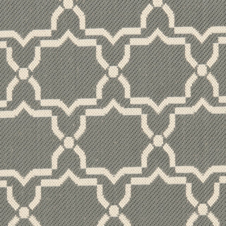 Safavieh Courtyard CY6916 Anthracite/Beige Area Rug 