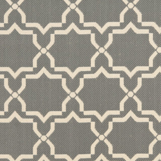 Safavieh Courtyard CY6916 Anthracite/Beige Area Rug 