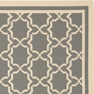 Safavieh Courtyard CY6916 Anthracite/Beige Area Rug 