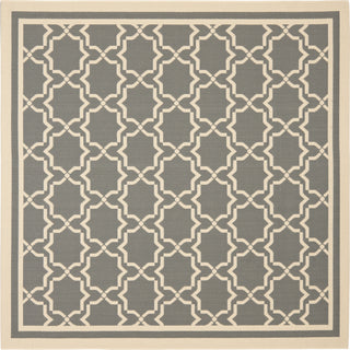 Safavieh Courtyard CY6916 Anthracite/Beige Area Rug 