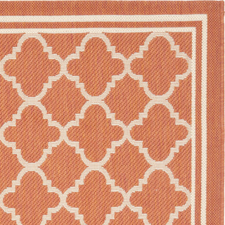 Safavieh Courtyard CY6918 Terracotta/Bone Area Rug 