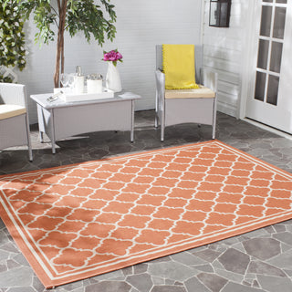 Safavieh Courtyard CY6918 Terracotta/Bone Area Rug 