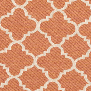 Safavieh Courtyard CY6918 Terracotta/Bone Area Rug 