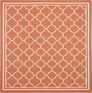 Safavieh Courtyard CY6918 Terracotta/Bone Area Rug 