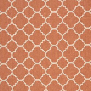 Safavieh Courtyard CY6918 Terracotta/Bone Area Rug 