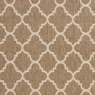 Safavieh Courtyard CY6918 Brown/Bone Area Rug 