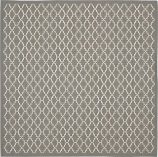 Safavieh Courtyard CY6919 Anthracite/Beige Area Rug 