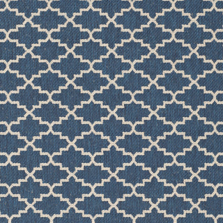 Safavieh Courtyard CY6919 Navy/Beige Area Rug 