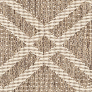 Safavieh Courtyard CY6923 Brown/Bone Area Rug 