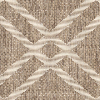 Safavieh Courtyard CY6923 Brown/Bone Area Rug 