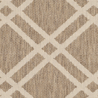 Safavieh Courtyard CY6923 Brown/Bone Area Rug 