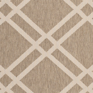 Safavieh Courtyard CY6923 Brown/Bone Area Rug 