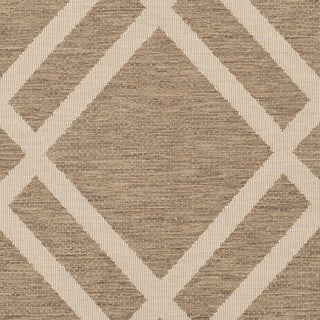 Safavieh Courtyard CY6923 Brown/Bone Area Rug 