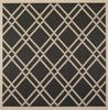 Safavieh Courtyard CY6923 Black/Beige Area Rug 