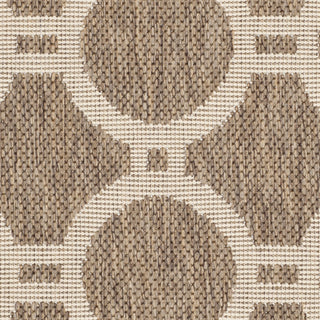 Safavieh Courtyard CY6924 Brown/Bone Area Rug 