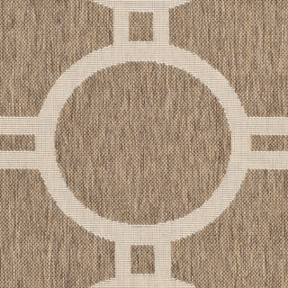 Safavieh Courtyard CY6924 Brown/Bone Area Rug 