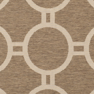 Safavieh Courtyard CY6924 Brown/Bone Area Rug 