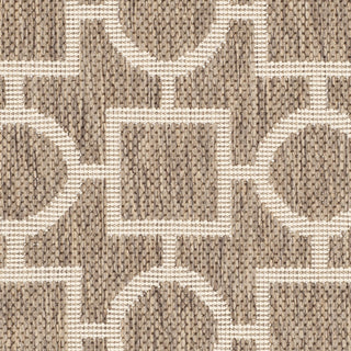 Safavieh Courtyard CY6925 Brown/Bone Area Rug 