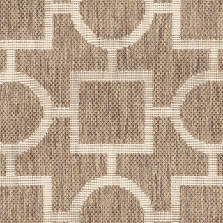 Safavieh Courtyard CY6925 Brown/Bone Area Rug 