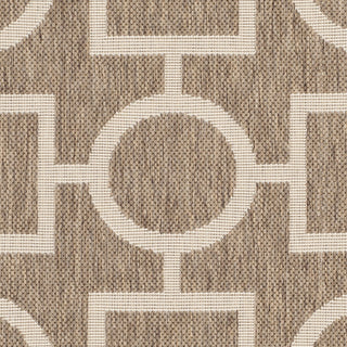 Safavieh Courtyard CY6925 Brown/Bone Area Rug 