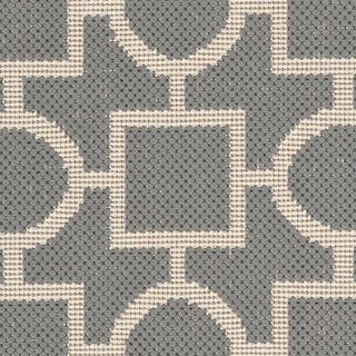 Safavieh Courtyard CY6925 Anthracite/Beige Area Rug 