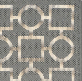 Safavieh Courtyard CY6925 Anthracite/Beige Area Rug 