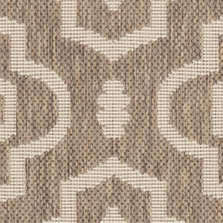 Safavieh Courtyard CY6926 Brown/Bone Area Rug 