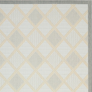 Safavieh Courtyard CY7570 Light Grey/Anthracite Area Rug 