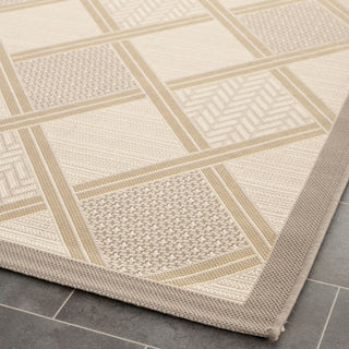 Safavieh Courtyard CY7570 Beige/Dark Beig Area Rug 