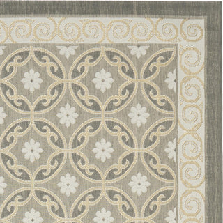 Safavieh Courtyard CY7810 Anthracite/Light Grey Area Rug 