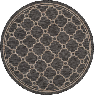 Safavieh Courtyard CY8471 Natural/Black Area Rug 