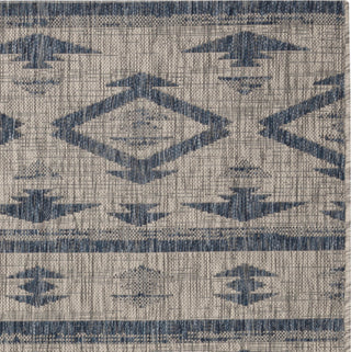 Safavieh Courtyard CY8863 Grey/Navy Area Rug 