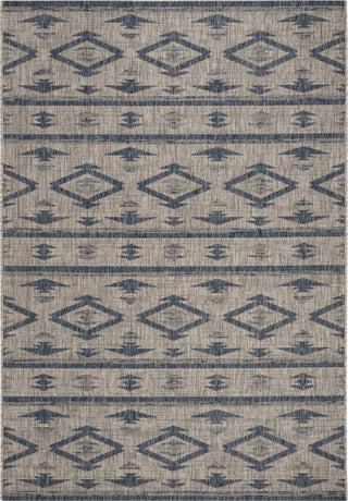 Safavieh Courtyard CY8863 Grey/Navy Area Rug main image