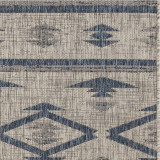 Safavieh Courtyard CY8863 Grey/Navy Area Rug 