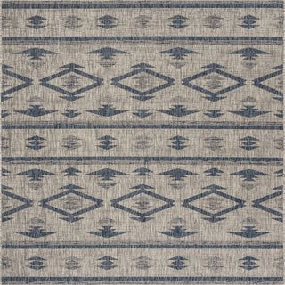 Safavieh Courtyard CY8863 Grey/Navy Area Rug 