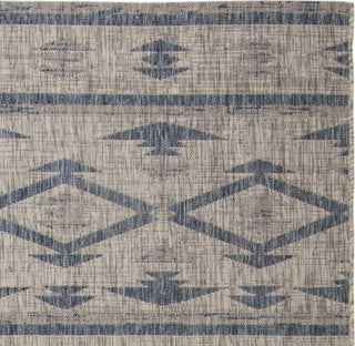 Safavieh Courtyard CY8863 Grey/Navy Area Rug 