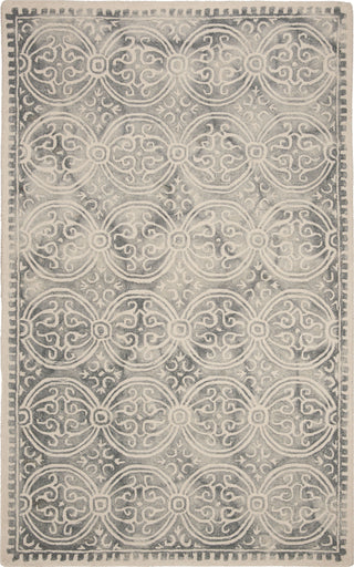 Safavieh Dip Dye 211 Silver/Ivory Area Rug main image