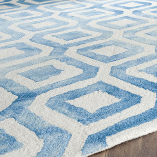 Safavieh Dip Dye 679 Ivory/Blue Area Rug Detail