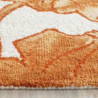 Safavieh Dip Dye 683 Ivory/Orange Area Rug Detail