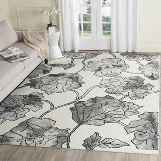 Safavieh Dip Dye 683 Ivory/Light Grey Area Rug Room Scene